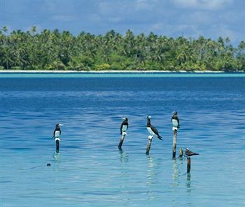 Hotel Opoa Beach Raiatea Zewnętrze zdjęcie